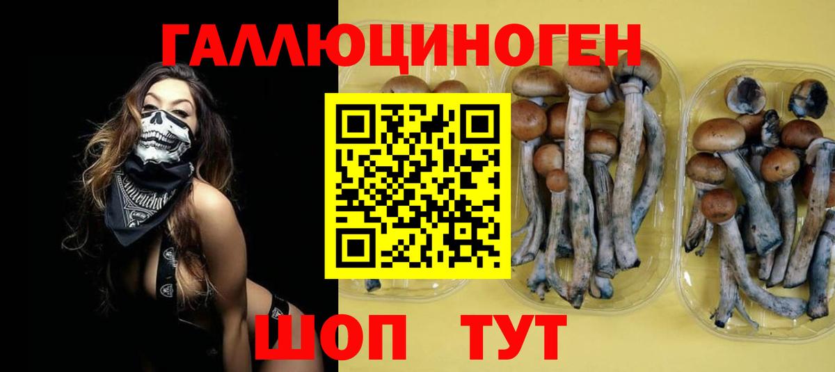Дербент  Галлюциногенные грибы Cubensis  закладки  Вход с VPN 