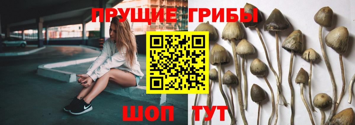 Псилоцибиновые грибы MAGIC MUSHROOMS Дербент